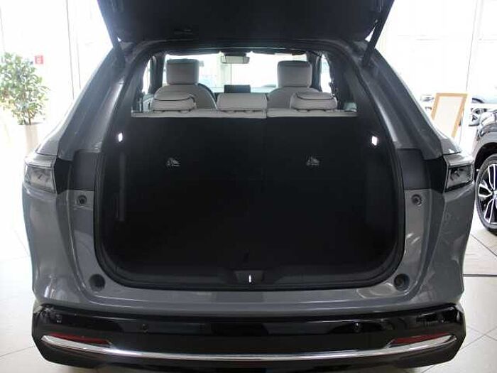 Honda e: Ny1 Advance Paket